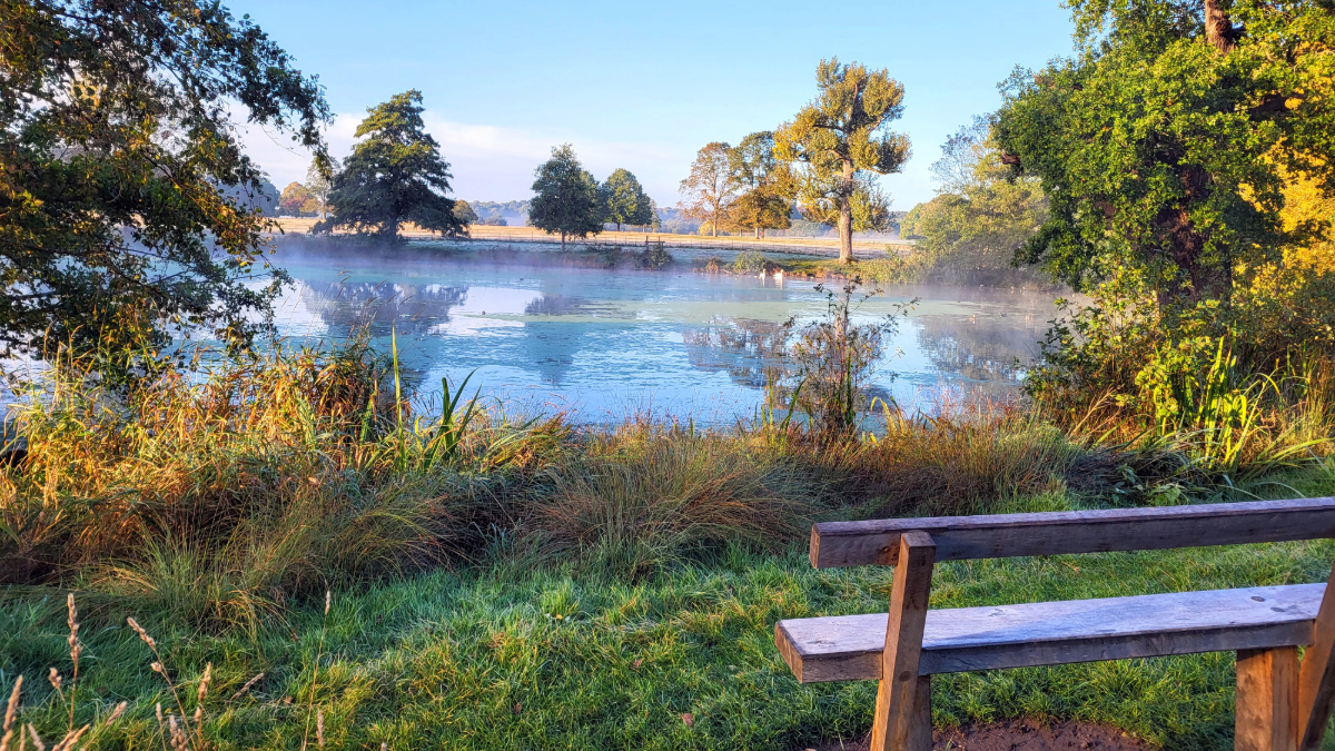 About Garden & Globe